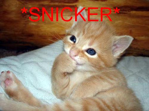 Snicker cat! (3948 views)