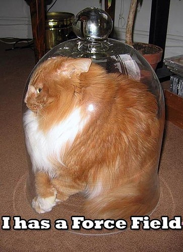 I has forcefield